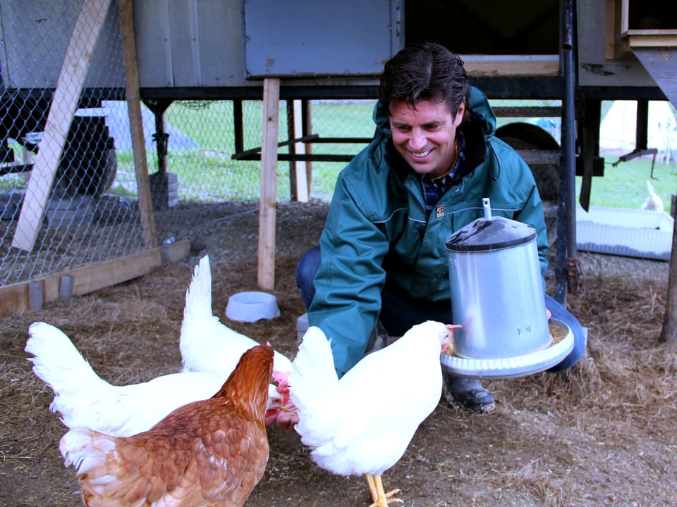 Reto Schmied füttert Hühner.