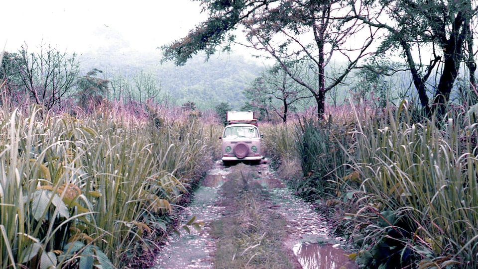 Ein VW-Bus in der indischen Wildnis.