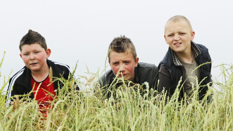 Drei Jungen hinter Gräsern.