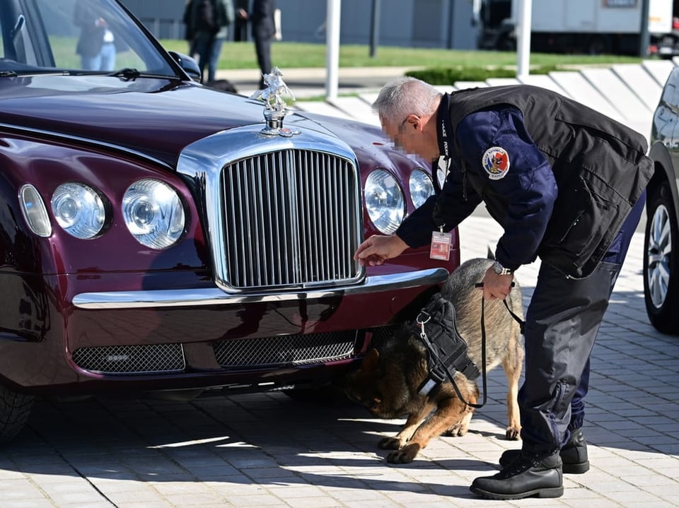 Hund inspiziert die Staatskarosse des Königspaares.