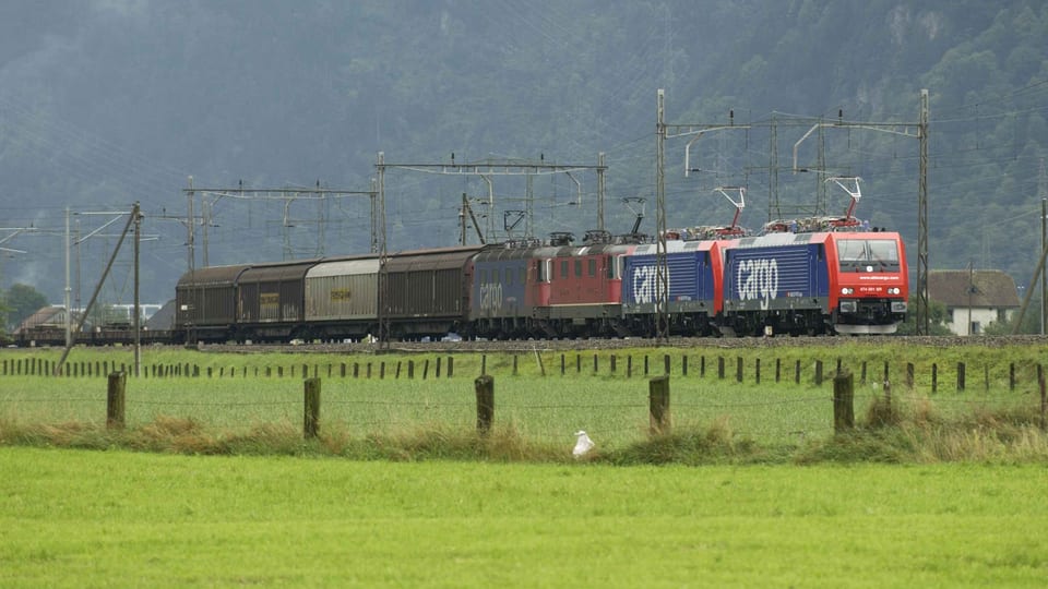 Ein SBB-Güterzug unterwegs auf ländlicher Bahnstrecke.