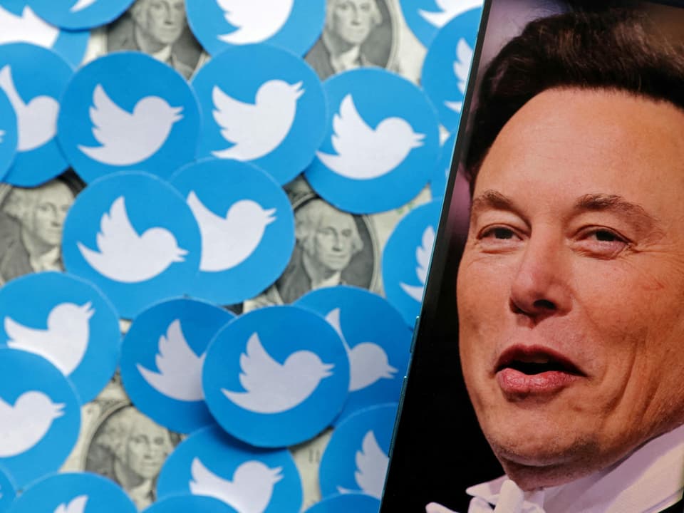 Elon Musk, daneben das Logo von Twitter, ein weisser Vogel auf blauem Hintergrund