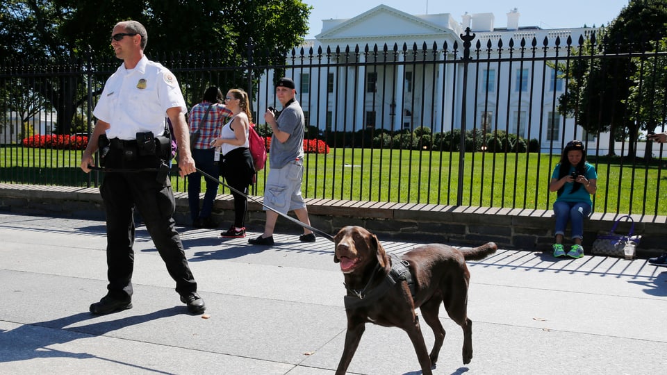 Sicherheitsmann mit Hund vor dem Weissen Haus, daneben stehen mehrere Touristen.
