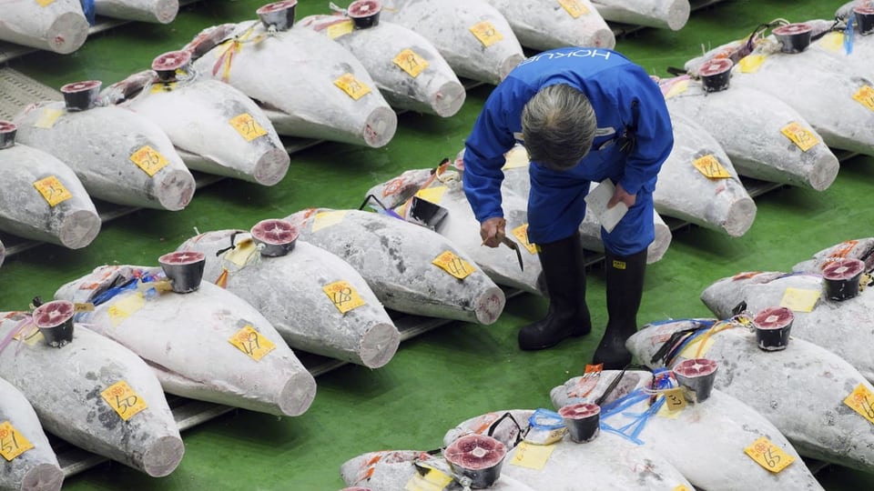 Thunfisch-Aktion in Tokio