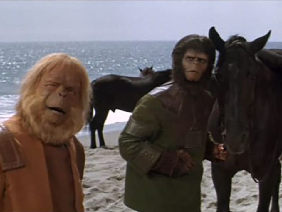 Zwei Personen in Affenkostümen stehen neben einem Pferd am Strand.