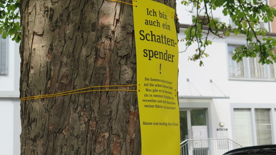 Auf einem Baum ist ein Plakat angebracht, auf welchem steht, dass Bäume wichtig sind fürs Klima.