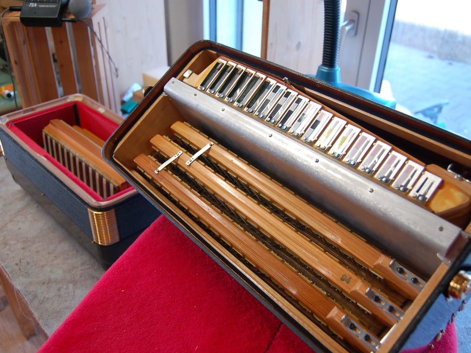 VolksmusikInstrumente 600 Zungen für ein Akkordeon Radio SRF