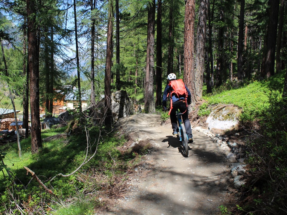 Ein Mountainbiker fährt durch den Wald.
