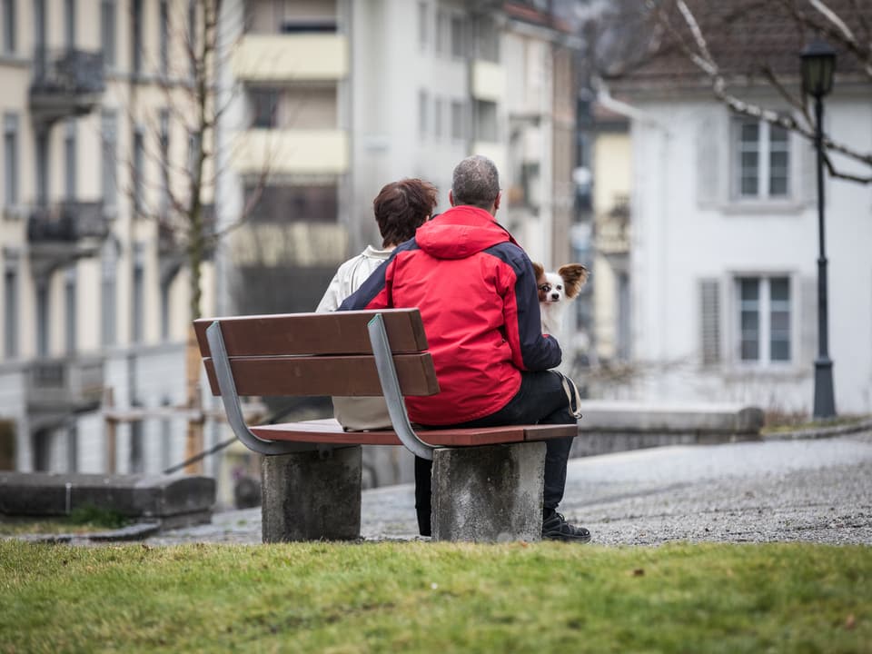 Ein Mann und eine Frau sitzen mit einem Hündchen auf einer Parkbank, die in einem kleinen Park steht.