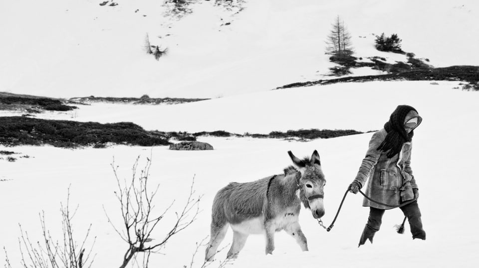 Eine karge Schneelandschaft; ein Mädchen mit dunkler Haut, dich eingepackt, stapft durch den Schnee. Sie führt einen Esel an einem Seil hinter sich her.