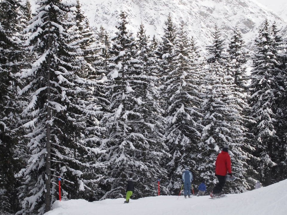 Verschneite Bäume neben der Skipiste, ein Snowborder im roten Anorak fährt auf der Piste talwärts.