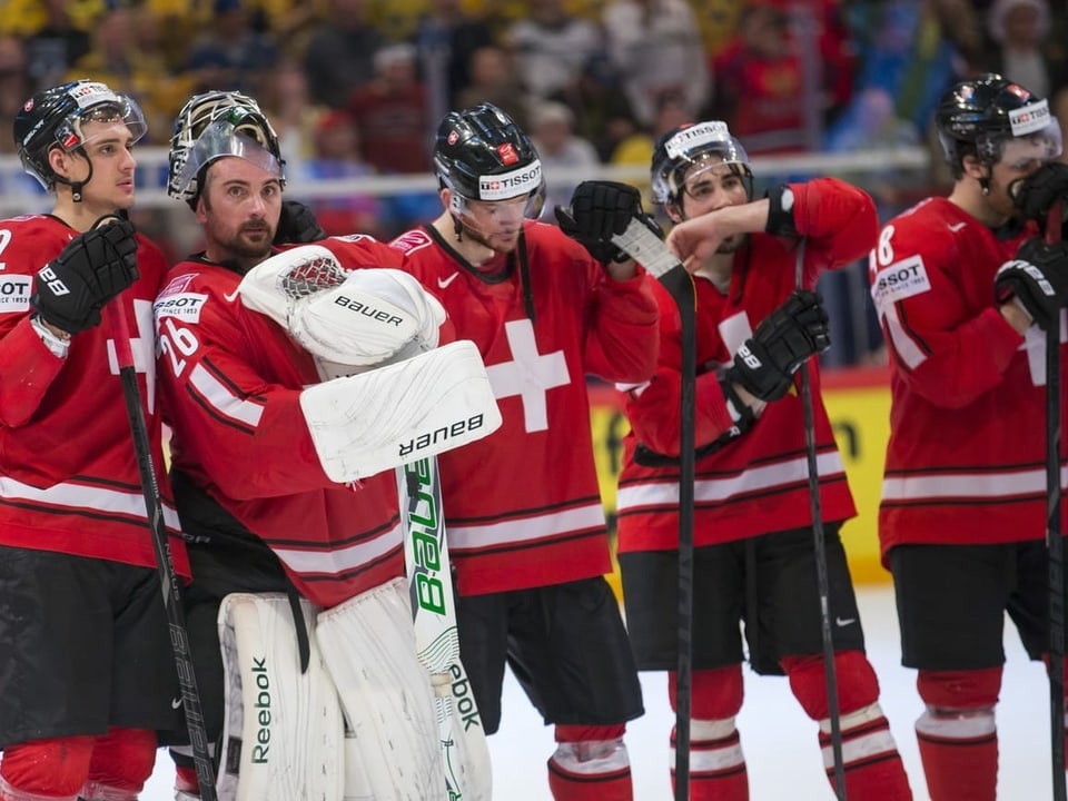 Die Schweizer Eishockeynationalmannschaft an der WM 2013