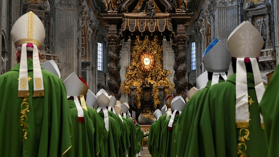 Kirchenmänner in einer Reihe vor einem Altar. Es ist der Petersdom.