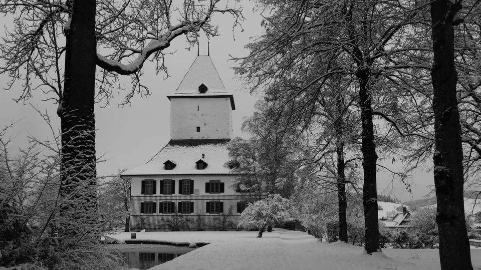 Schlosswil an einem nebligen Tag: dunkle Bäume, schneebedeckte Wege und ein grauer Himmel.