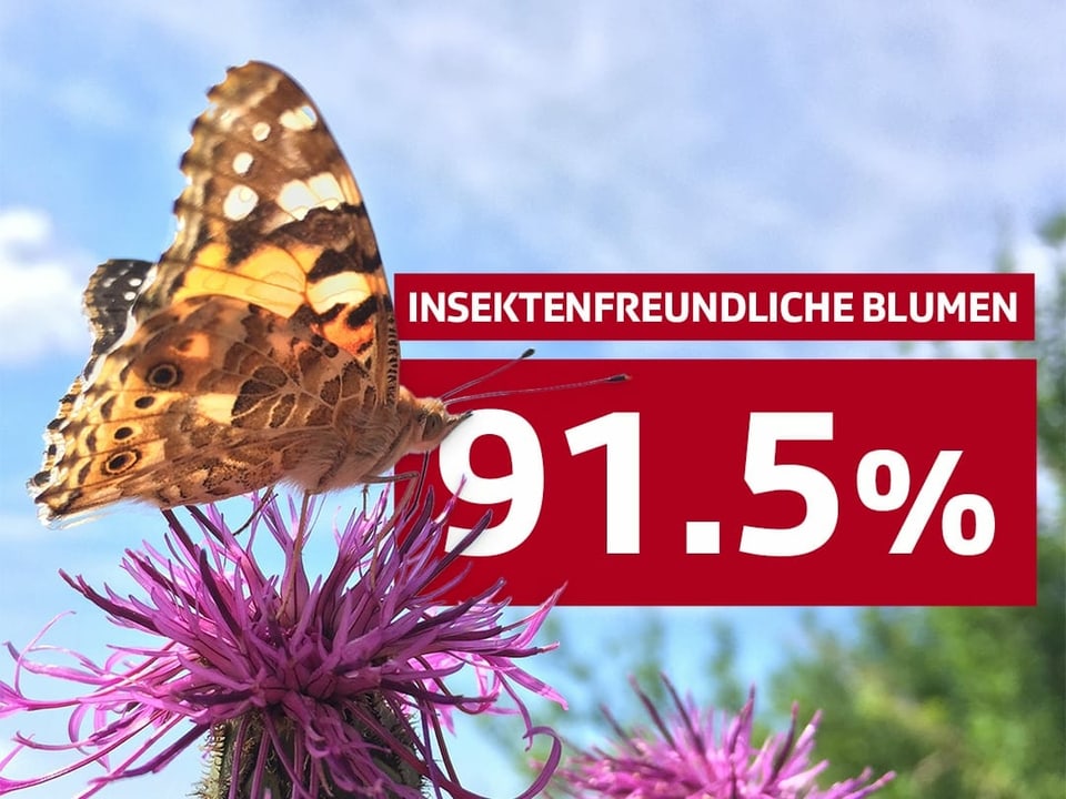 91.5% insektenfreundliche Blumen