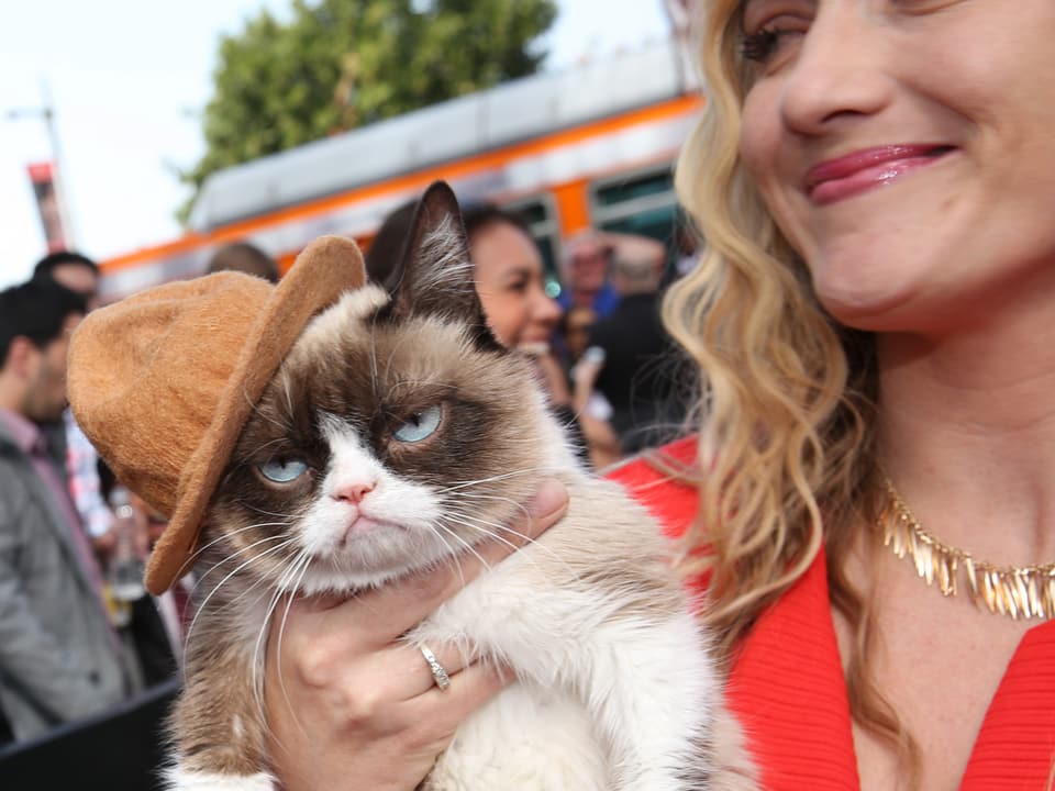 Grumpy CAt an den MTV Movie Awards - mit braunem Hut