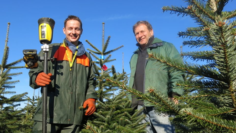 Tradition und GPS im Weihnachtsbaum-Verkauf (16.12.2013)