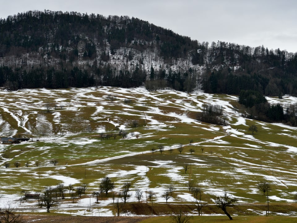 Hügellandschaft im Oberbaselbiet mit Schneeresten.