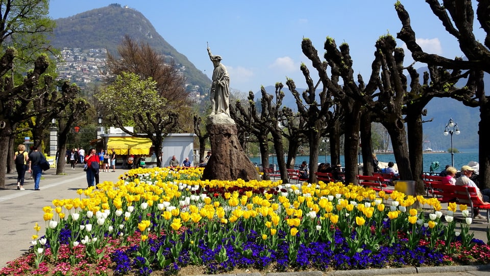 In Lugano hielt der Sommer Einzug. Blühende Blumenbeete. 