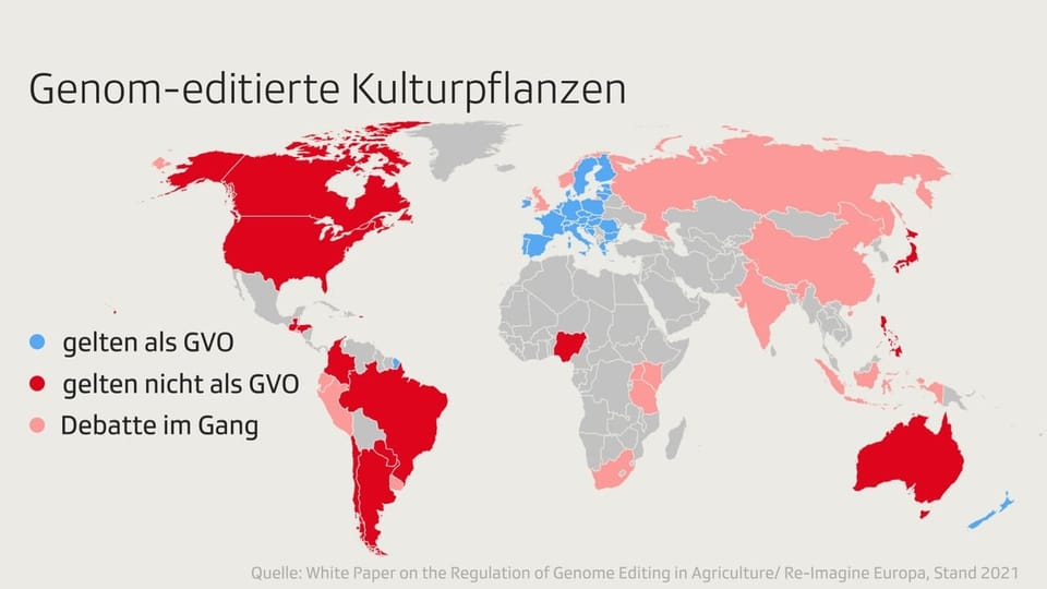 Weltkarte, die zeigt, wo überall genom-editierte Kulturpflanzen als genveränderte Organismen gelten und wo nicht.