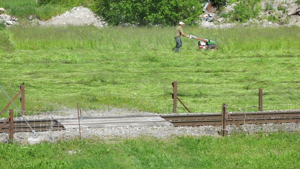 Ein Landwirt mäht eine Wiese. Im Vordergrund ein ungesicherter Bahnübergang.