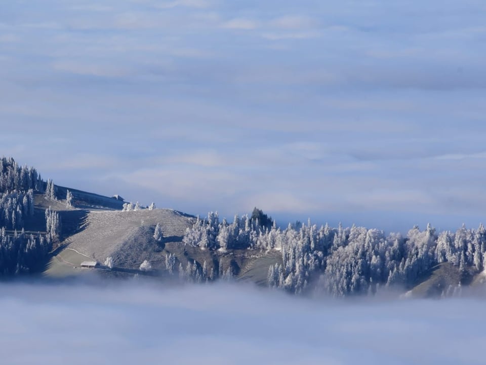 Grat mit Raureif über Nebelmeer