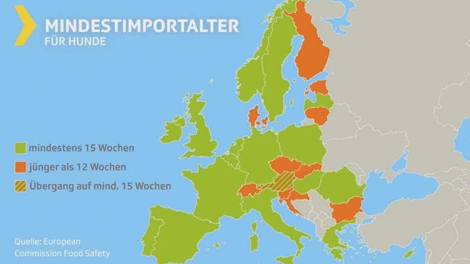 Europakarte eingefärbt nach Land und Mindestalter für Welpen