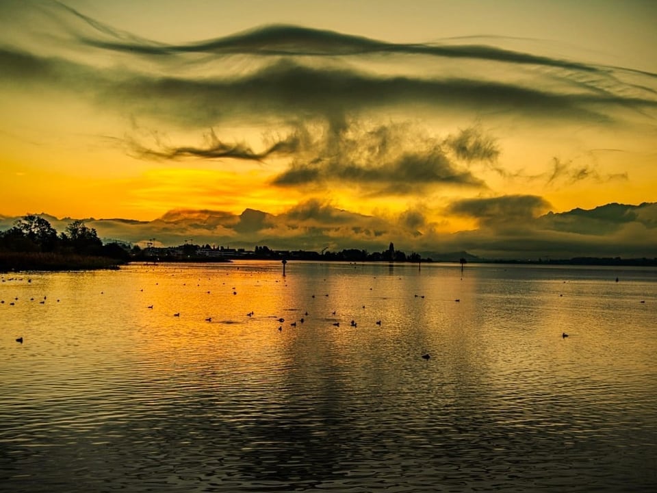 Rapperswil/SG Blick über den See in Richtung Berge mit abgeflachten Wolken am gelben Himmel
