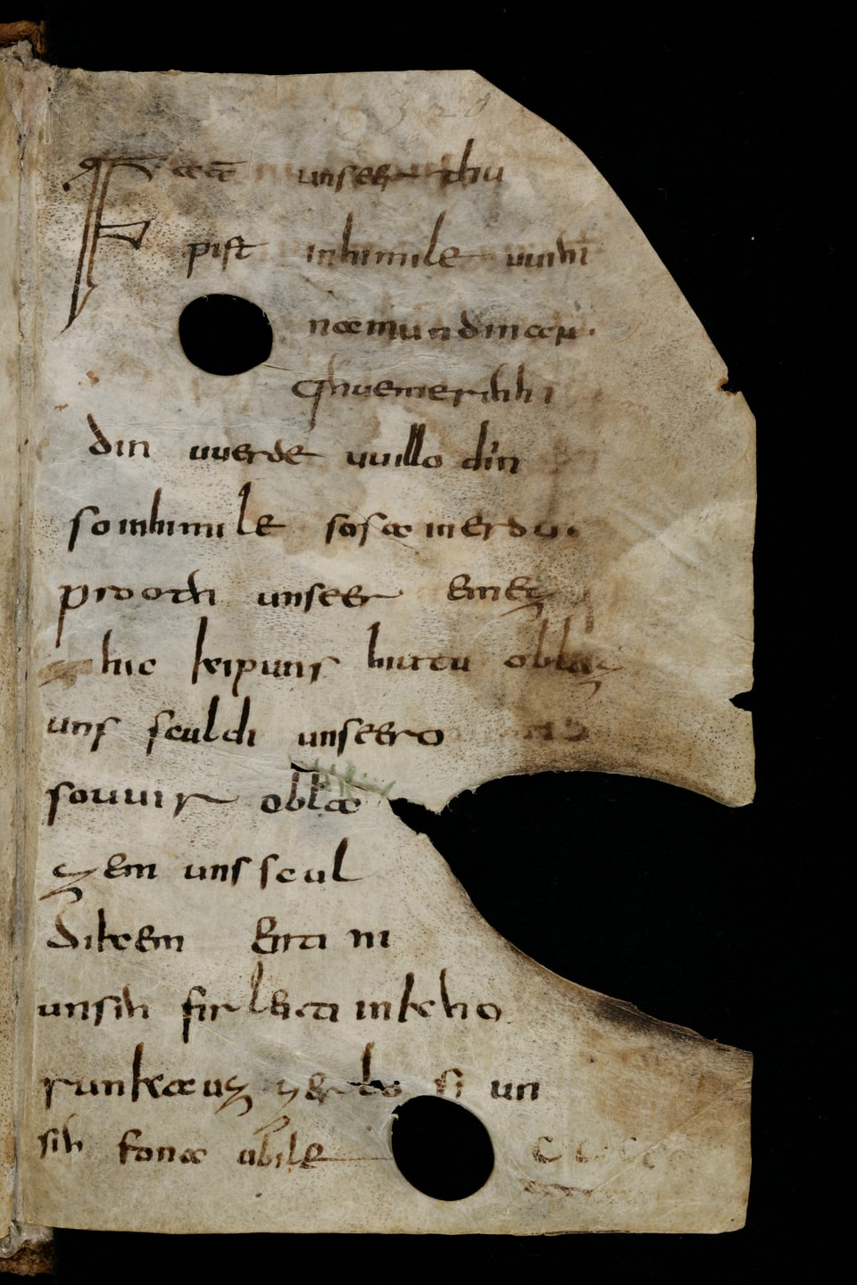 eine Kopie eines Pergaments mit alter Schrift