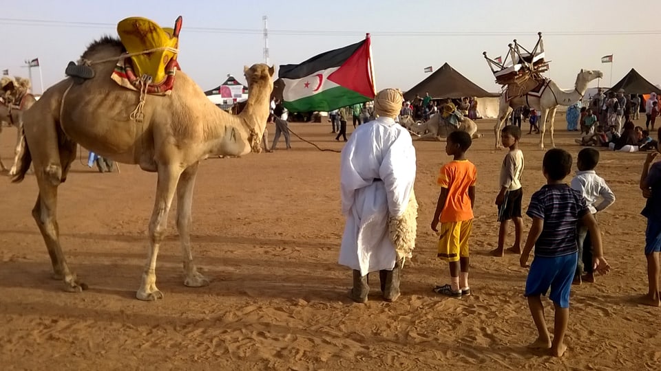 Szene einer Wüste, im Hintergrund ein Dromedar mit einem Tisch auf dem Rücken.