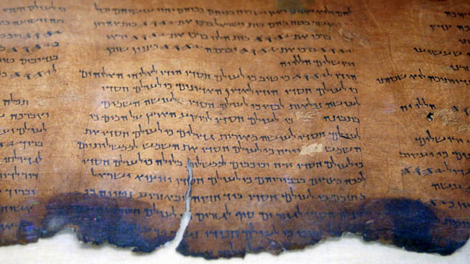 Panorama Alteste Bibel Fragmente Online Zu Sehen News Srf