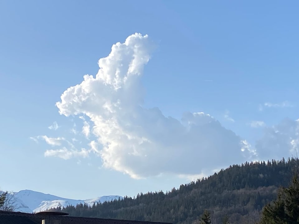 Eine Quellwolken in Hasen-Form.
