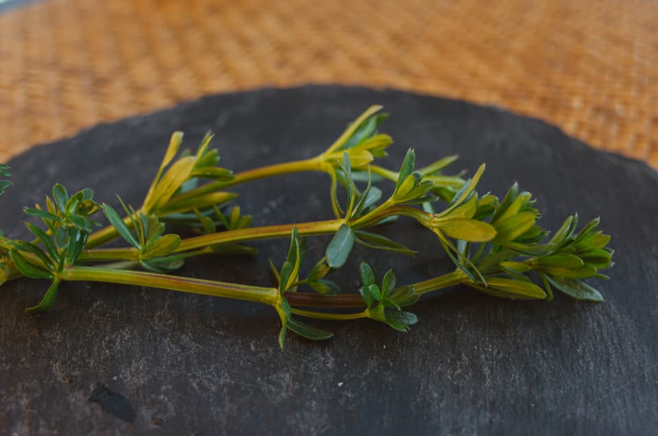 Frisch, mild und grün im Geschmack, Wiesenlabkräuter passen perfekt in Salate.