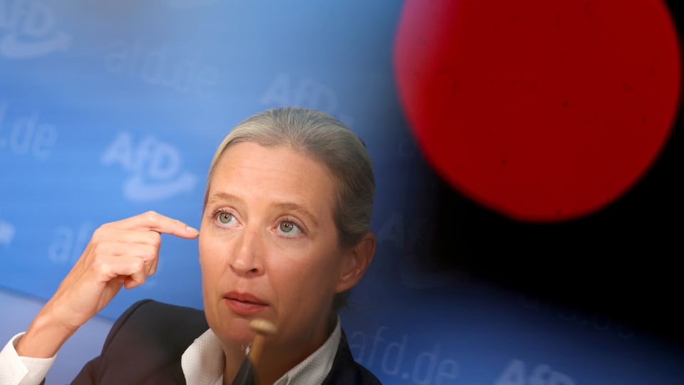 AfD-Präsidentin Alice Weidel hinter einem Mikrophon.