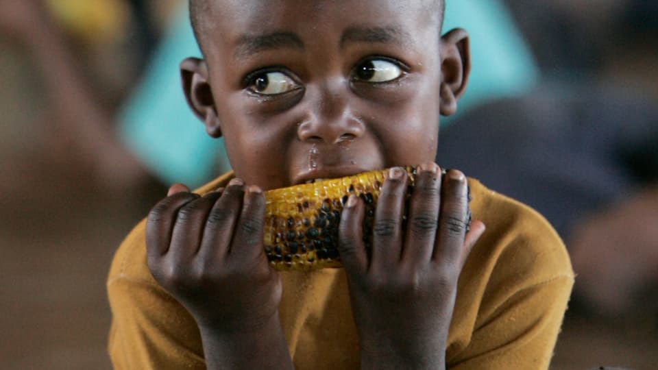Ein Junge isst Mais