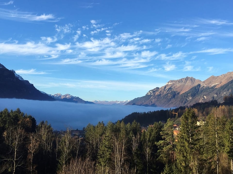 Brienzergrat in der Morgensonne, Nebelmeer über dem Brienzersee und Federwolken am Himmel