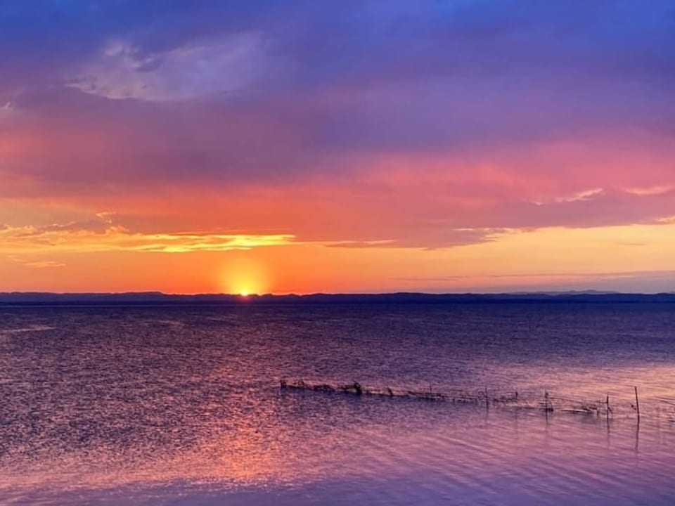 Blick auf Wasserfläche, in der sich der lila Morgenhimmel spiegelt. Am Horizont geht Sonne auf. 