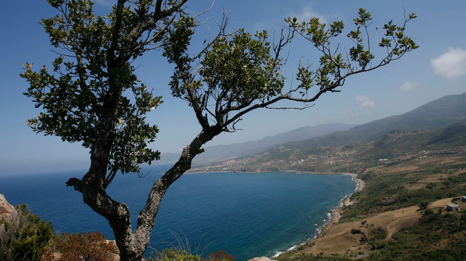 Der Blick auf die Küste bei Tizi Ouzou