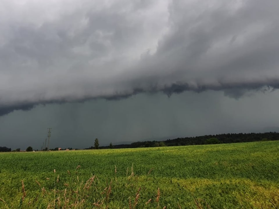 Buchegg/SO Gewitter mit Regenvorhang und dunklen Wolken über Landschaft
