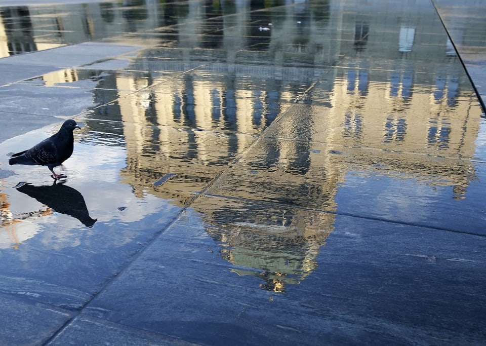 Das Bundeshaus spiegelt sich in einer Pfütze auf dem Bundesplatz.