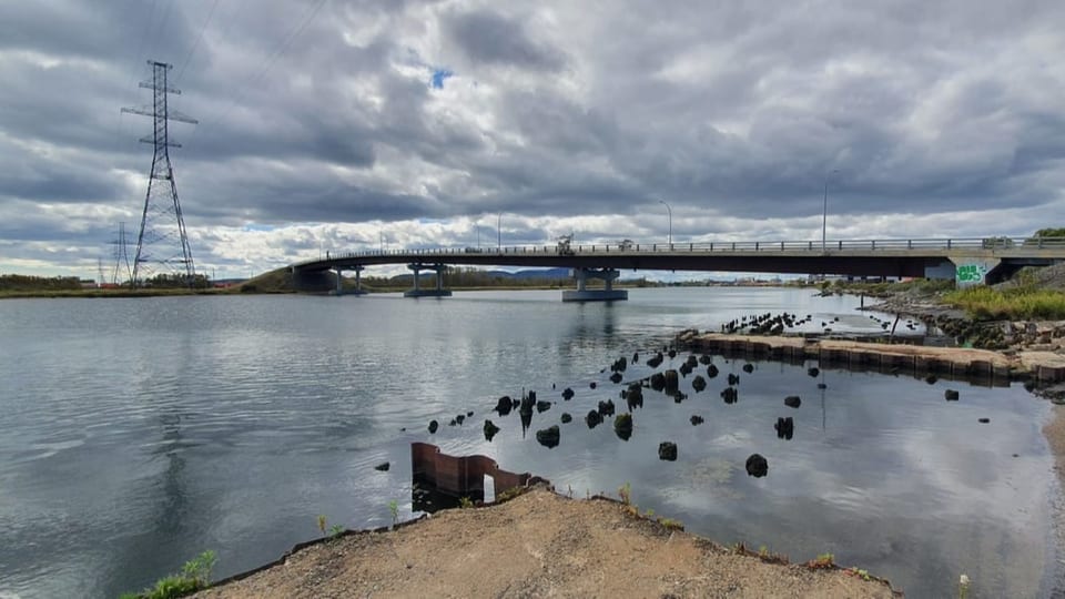 Ein Fluss ist auf dem Bild zu sehen. Über ihn führt eine Auto-Brücke.