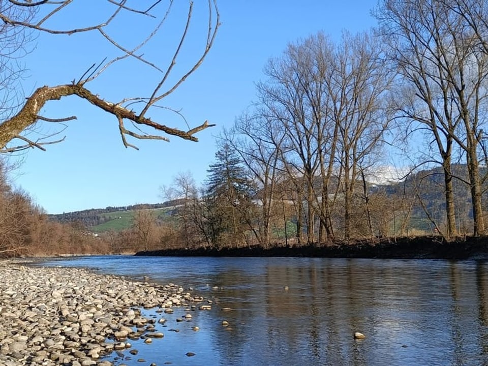 Reussufer, darüber blauer Himmel mit wenigen Wolken.