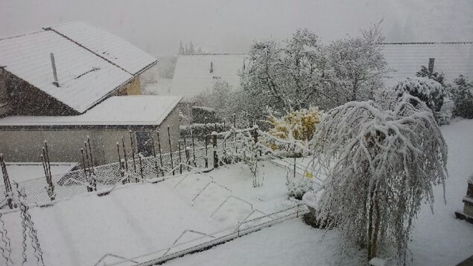 Schneebedeckte Wiesen und Häuser in Thun.