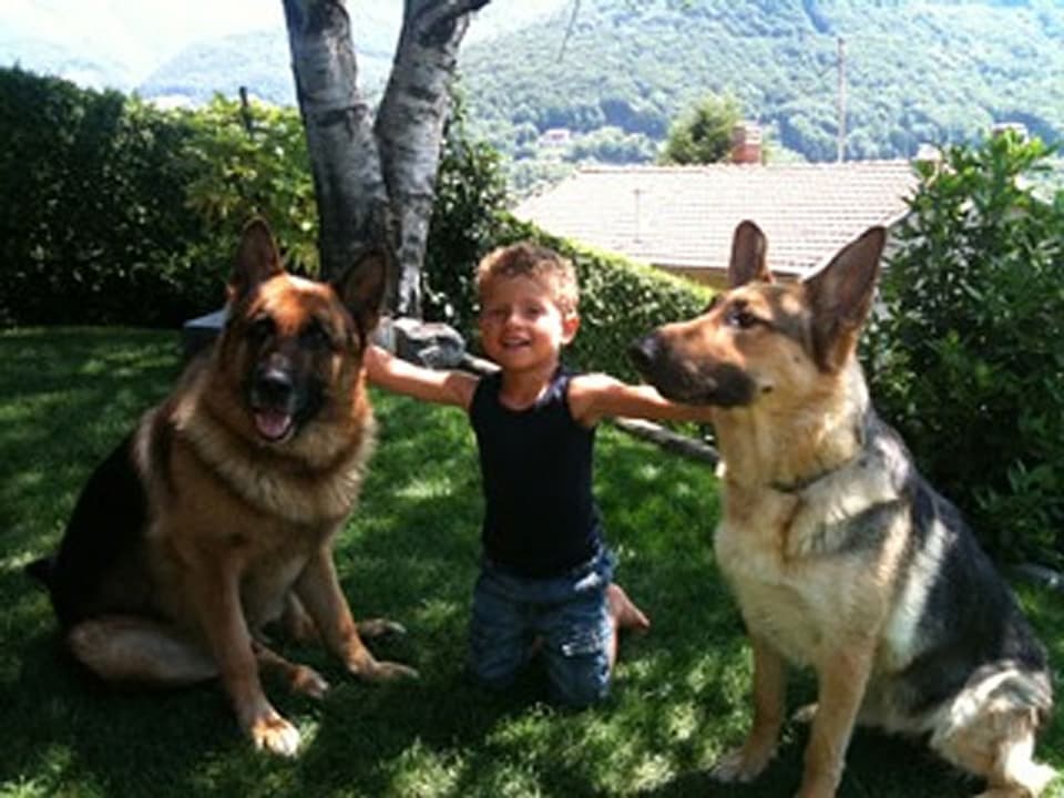 Junge mit zwei Schäferhunden.