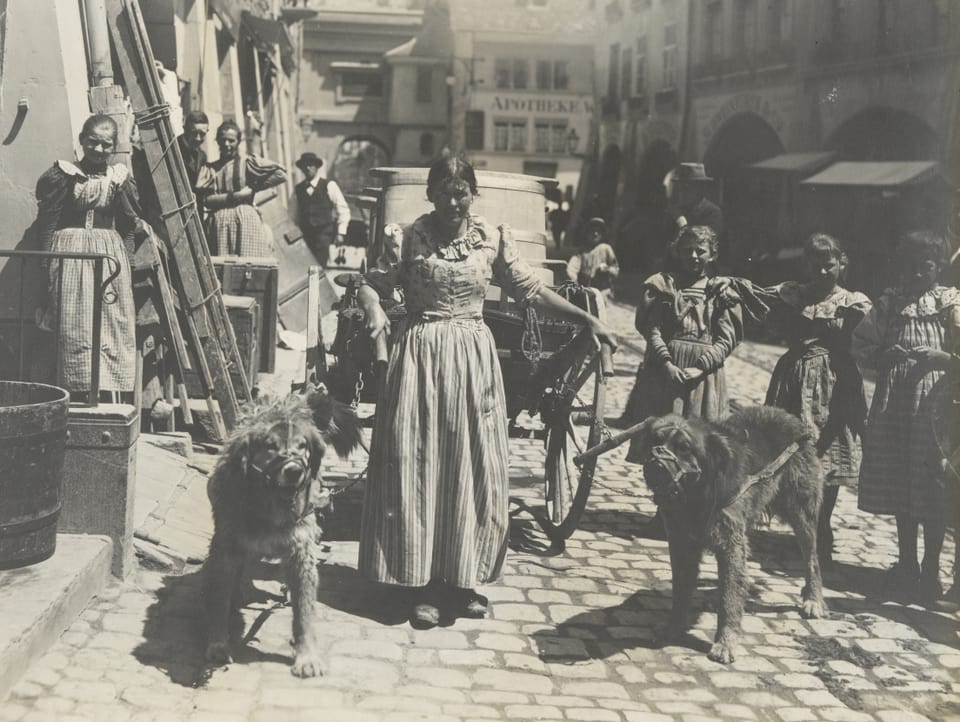 Eine Frau bringt 1909 in Bern mithilfe von Lastenhunden die Milchkannen zur Molkerei. 