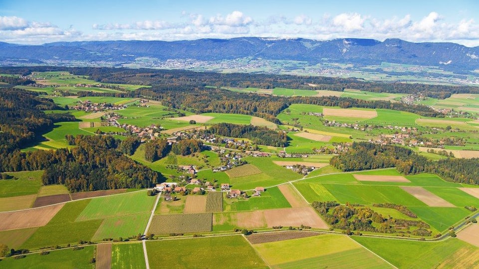 Der Buechibärg: Eine Solothurner Besonderheit (7.7.2016)