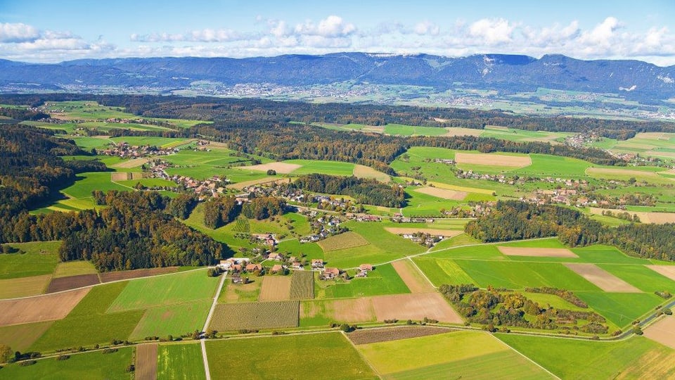 Der Buechibärg: Eine Solothurner Besonderheit (7.7.2016)