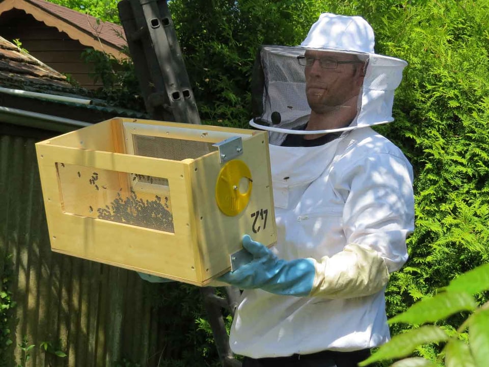 Ein Feuerwehrmann in einem weissen Insektenschutzanzug zeigt eine Kiste mit Bienen.