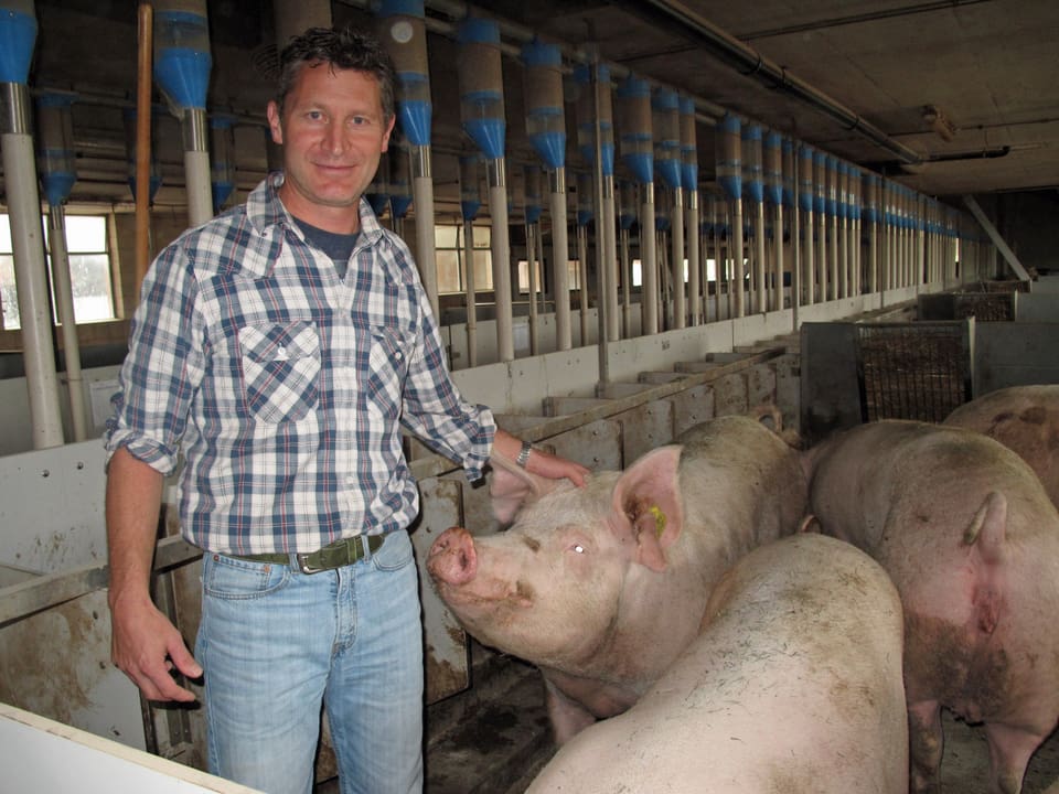 Der Fischzüchter und Bauer im Schweinestall. 