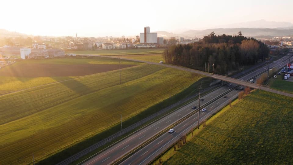Areal «Wil West», eine brachliegende Wiese gleich neben der Autobahn.